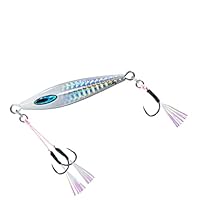 Amazon.co.jp: ダイワ(DAIWA) ソルティガ FKジグTG SLJ 60g PH